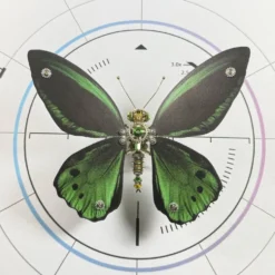 3D Metal Mechanical Steampunk Butterfly Model Kit